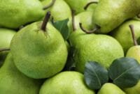 Many fresh ripe pears as background, closeup