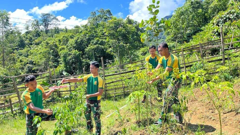 Langkah Nyata Kemandirian Pangan, Satgas Pamtas Yonarmed 11 Kostrad Manfaatkan Lahan Kosong di Perbatasan