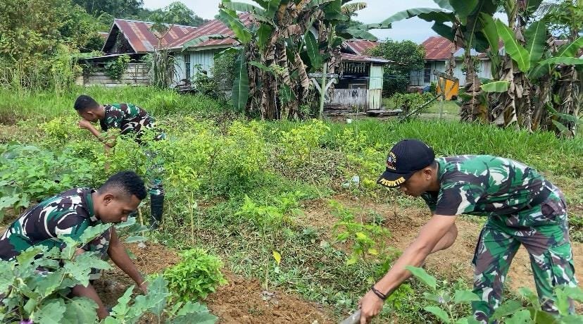 Satgas Yonif 762/VYS Manfaatkan Lahan Kosong