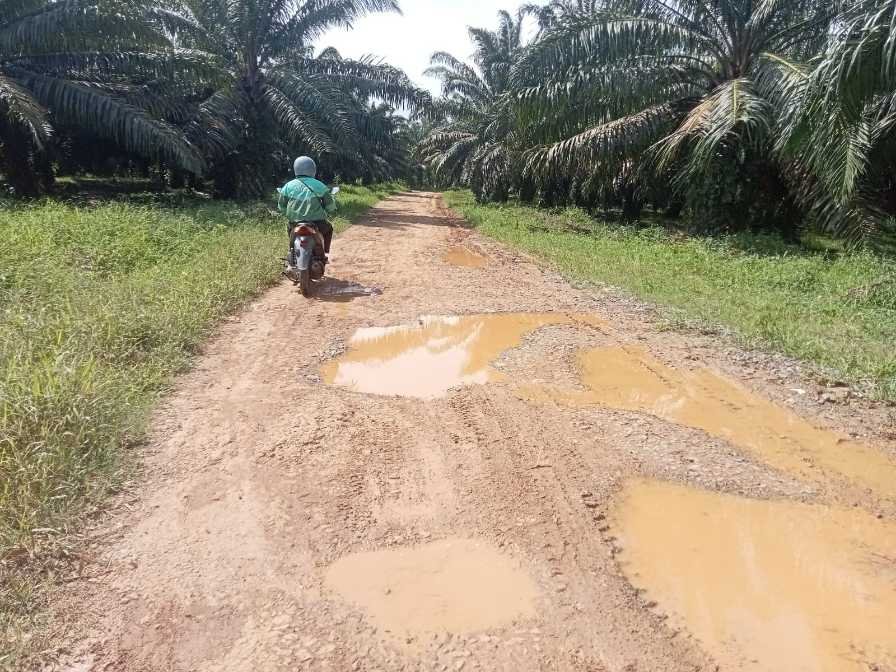 Akses jalan SDN 249 Palembang Butuh Perhatian Serius