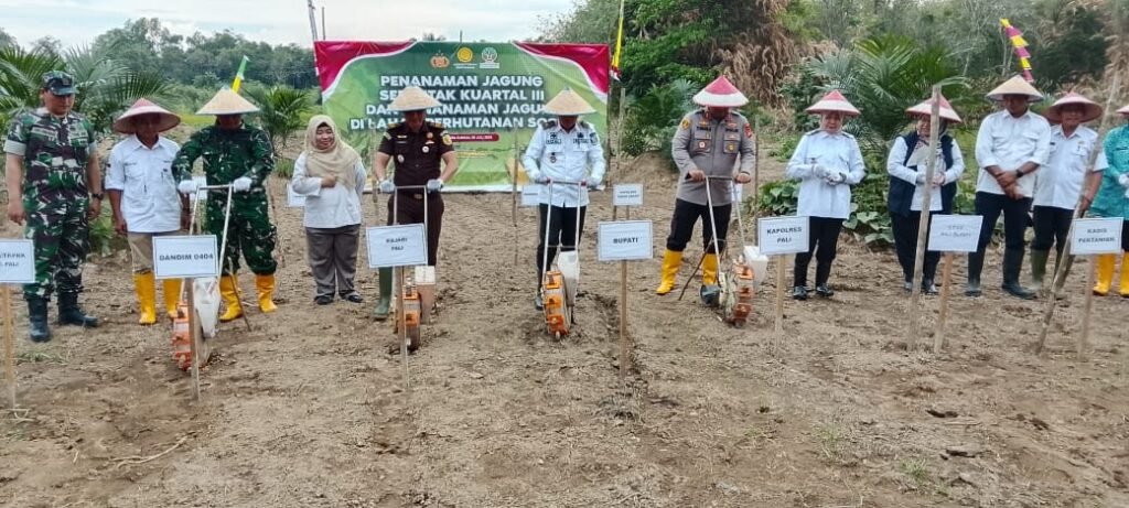 Polres PALI Tanam Jagung di Lahan Perhutanan Sosial, Wujudkan Indonesia Lumbung Pangan Dunia