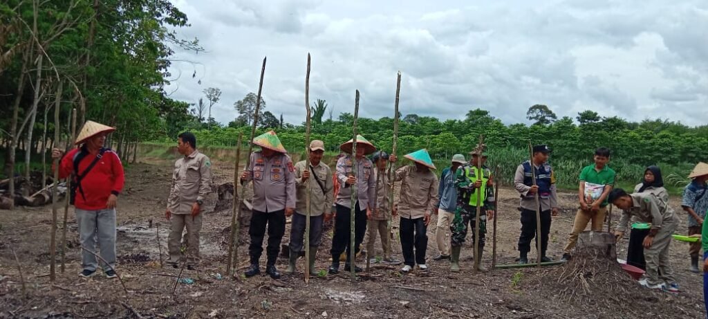 Dalam Rangka Menunjang Ketahanan Pangan Nasional Pemerintah Desa Tanjung Dalam Gelar Acara Tanam Jagung