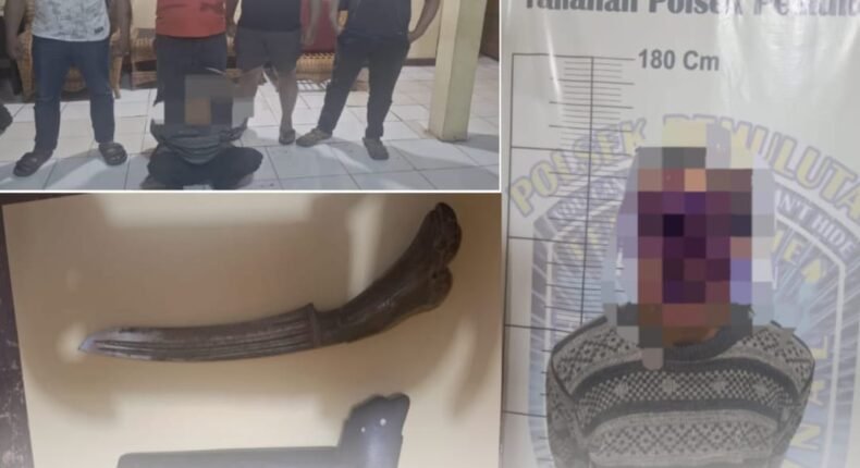 foto slider headline